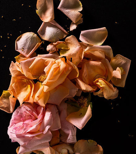 100ml Linen Spray - Rosas Fresca