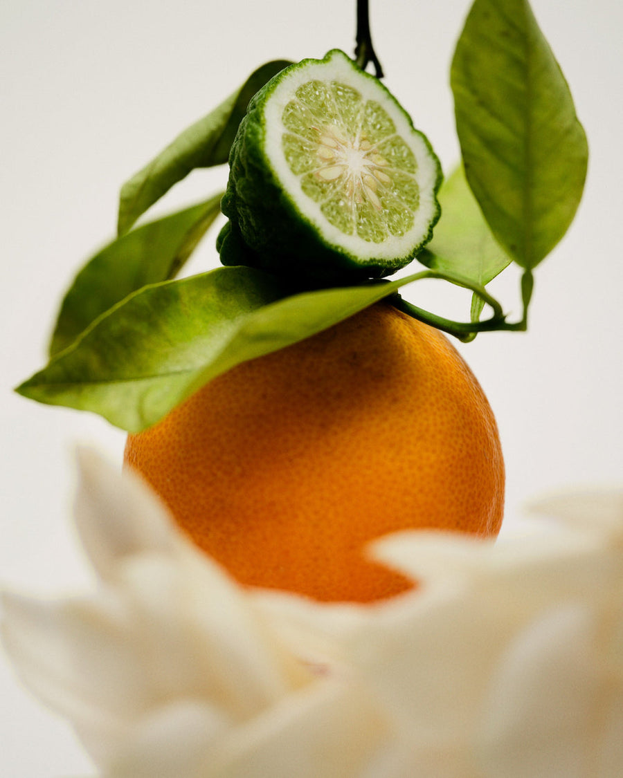 No.12 Bousval - Eau de Parfum Travel Spray