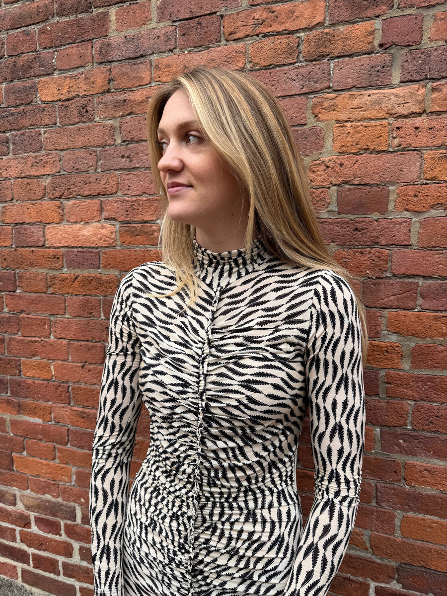 Ida Ruched Turtleneck Dress - Silhouette