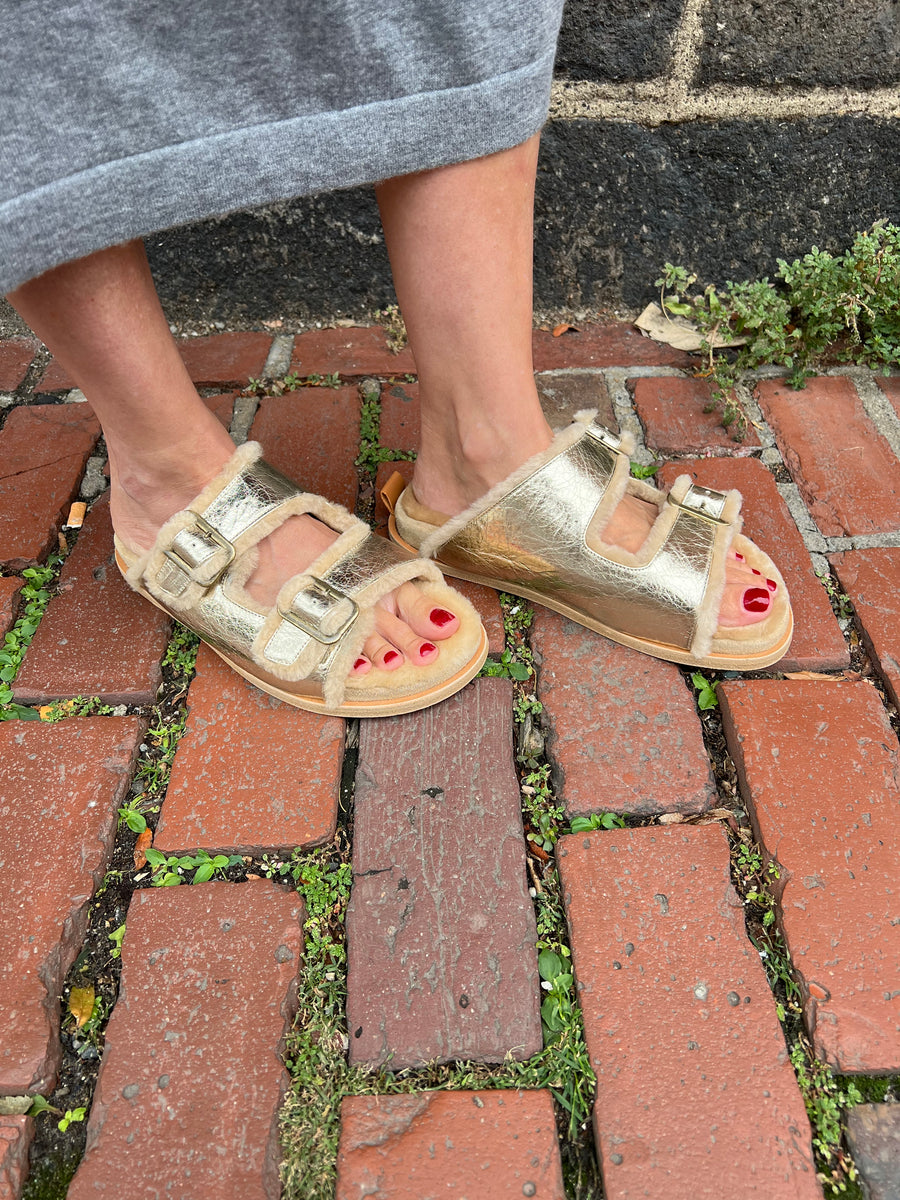 14224_My Shoes - Craquele' Laminated Leather Buckles - Platino