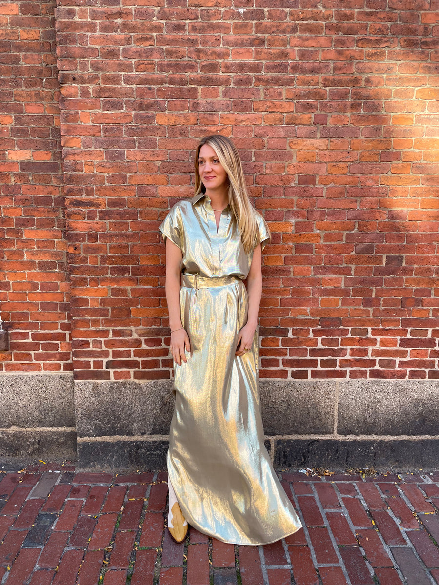 Francesca Sleeveless Dress - Gold