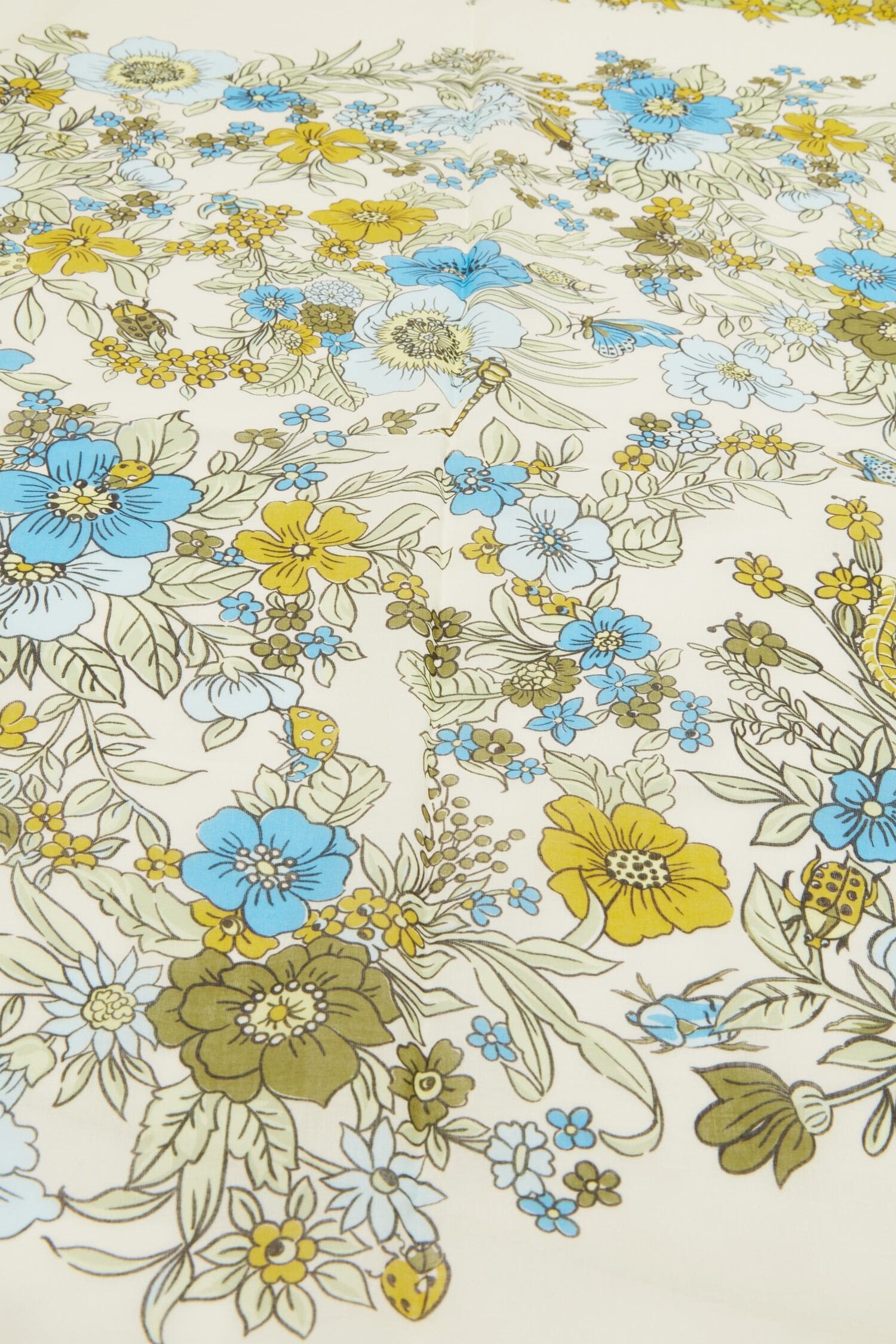 Zoom