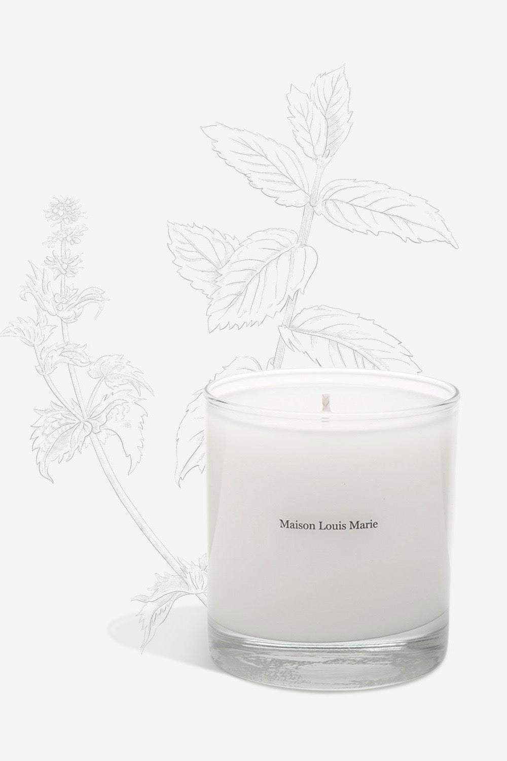 Maison louis marie no 11 best sale